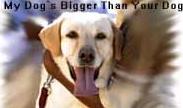 My Dogs Bigger Than Your Dog